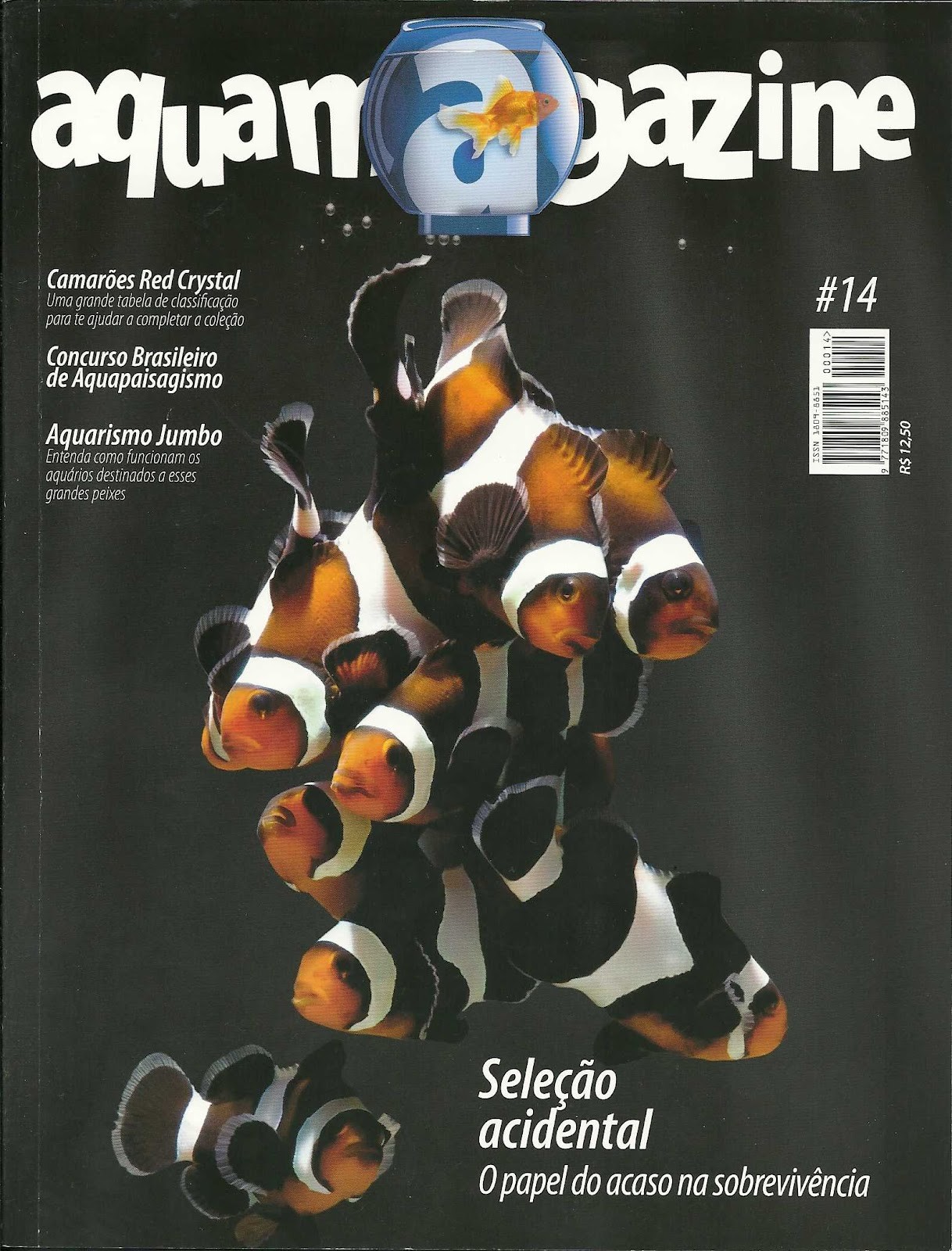 Revista Aqumagazine 14