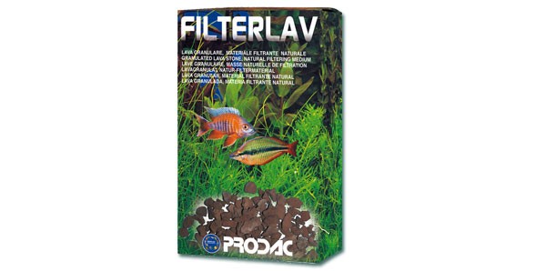 Filterlav